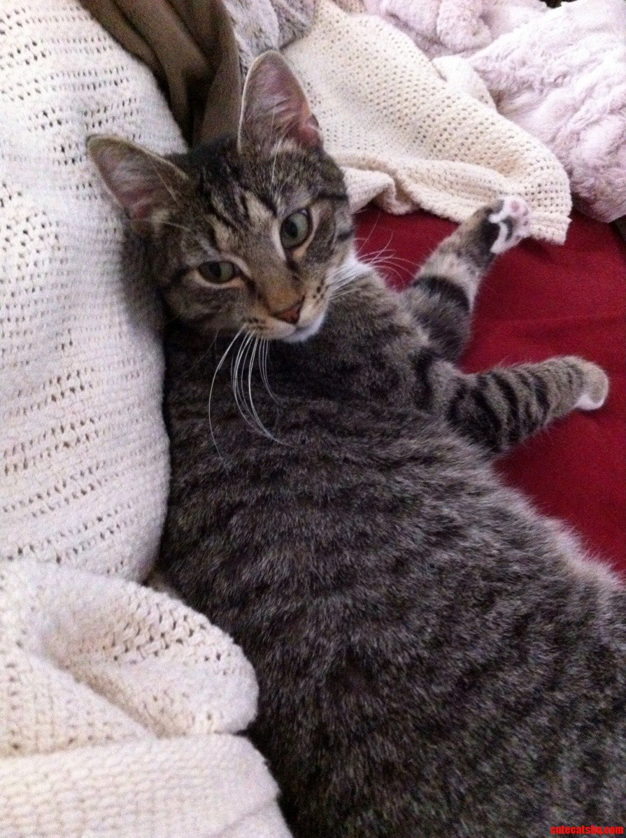 I Love This Skeptical Little Face.