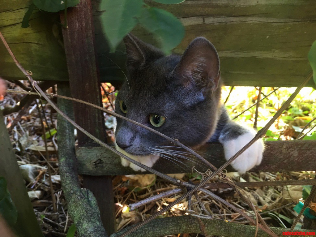 Itap of Leonard in the Garden.