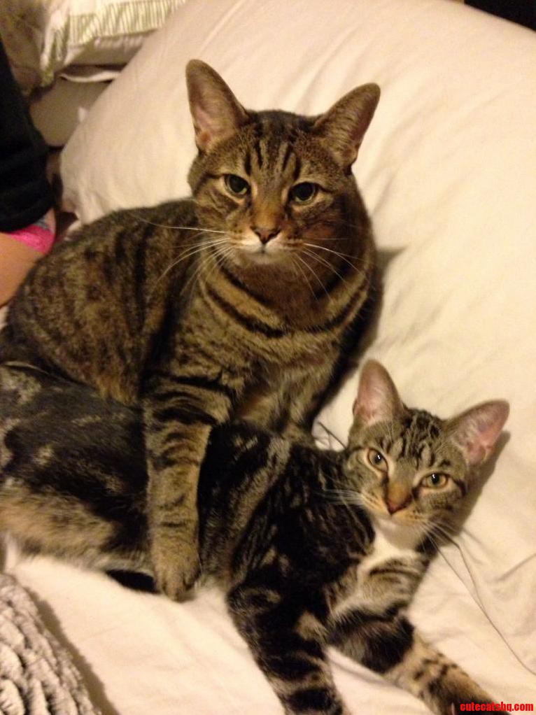 Kayko and Sushi