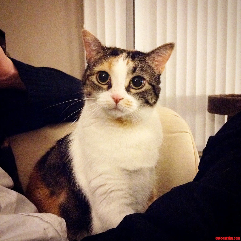Little Miss Big Eyes