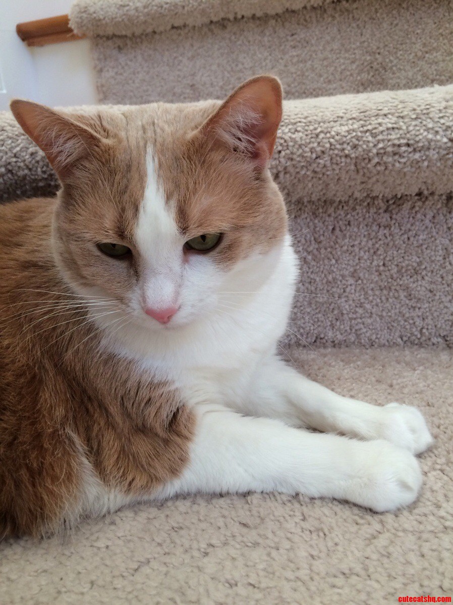 Look at Her Little Paws