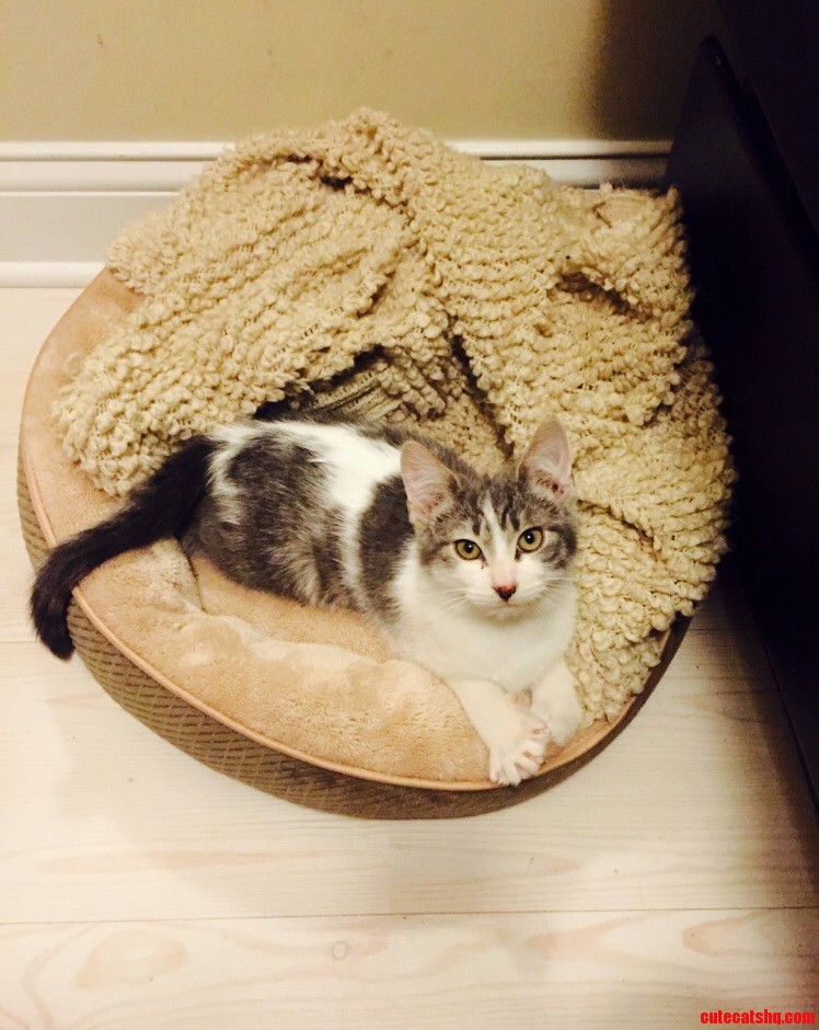 Meet Oscar. Found in a Dumpster in Chicago.