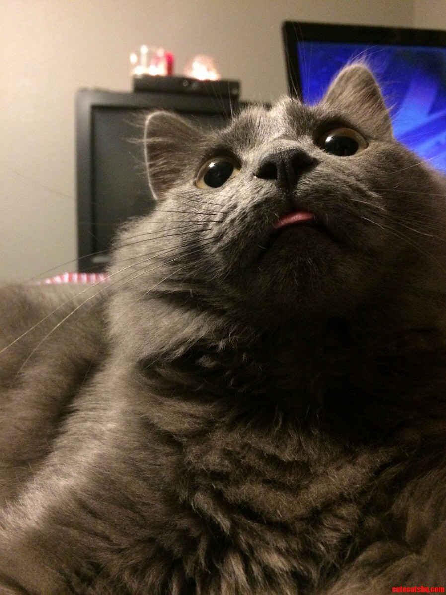 Meet Caeser