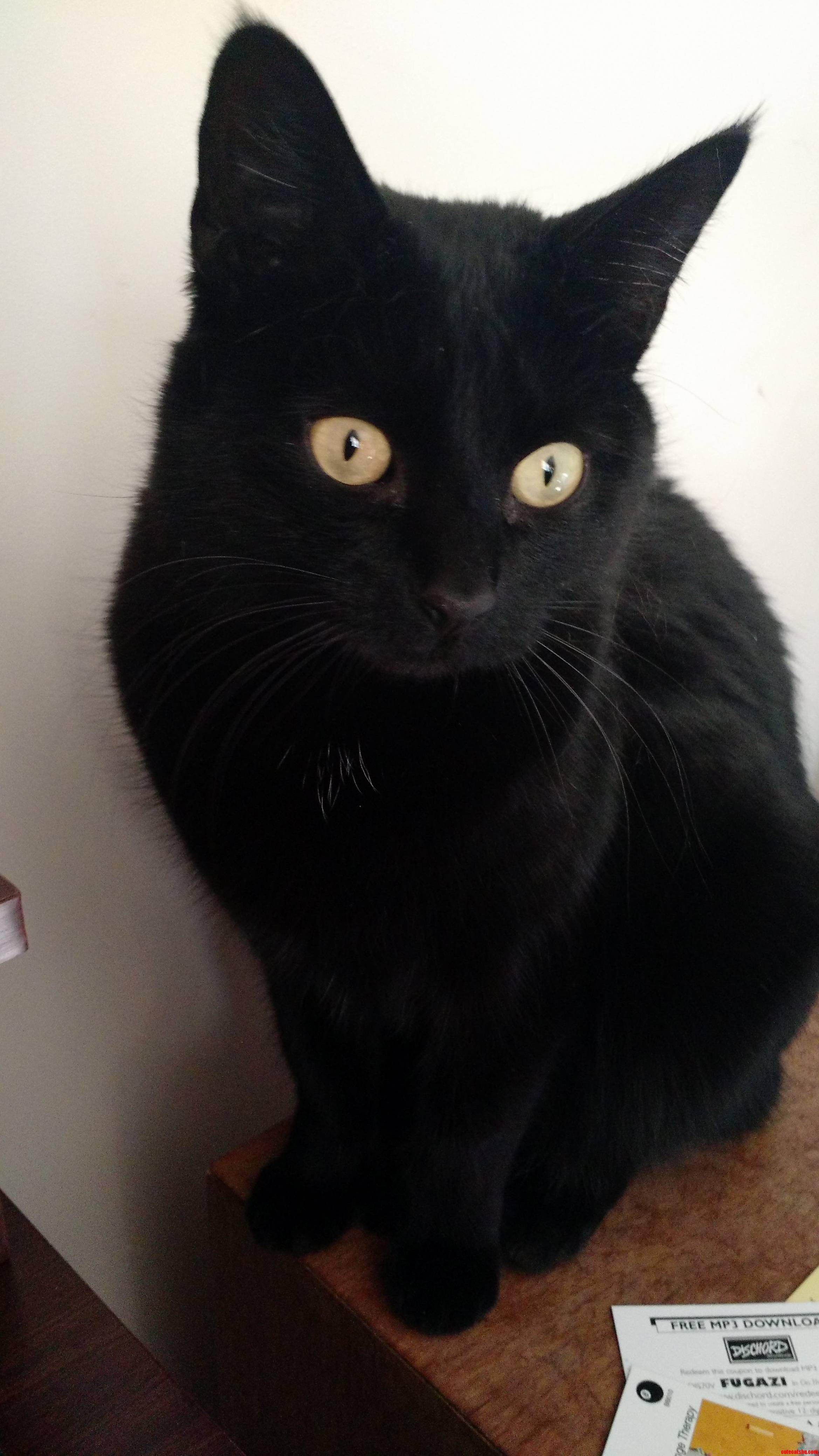 More Often Than Not Shes the Devil Incarnate but Once and a While I Get a Good Picture