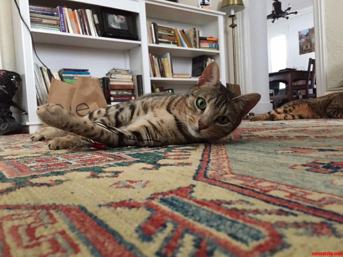 My Gal Esme