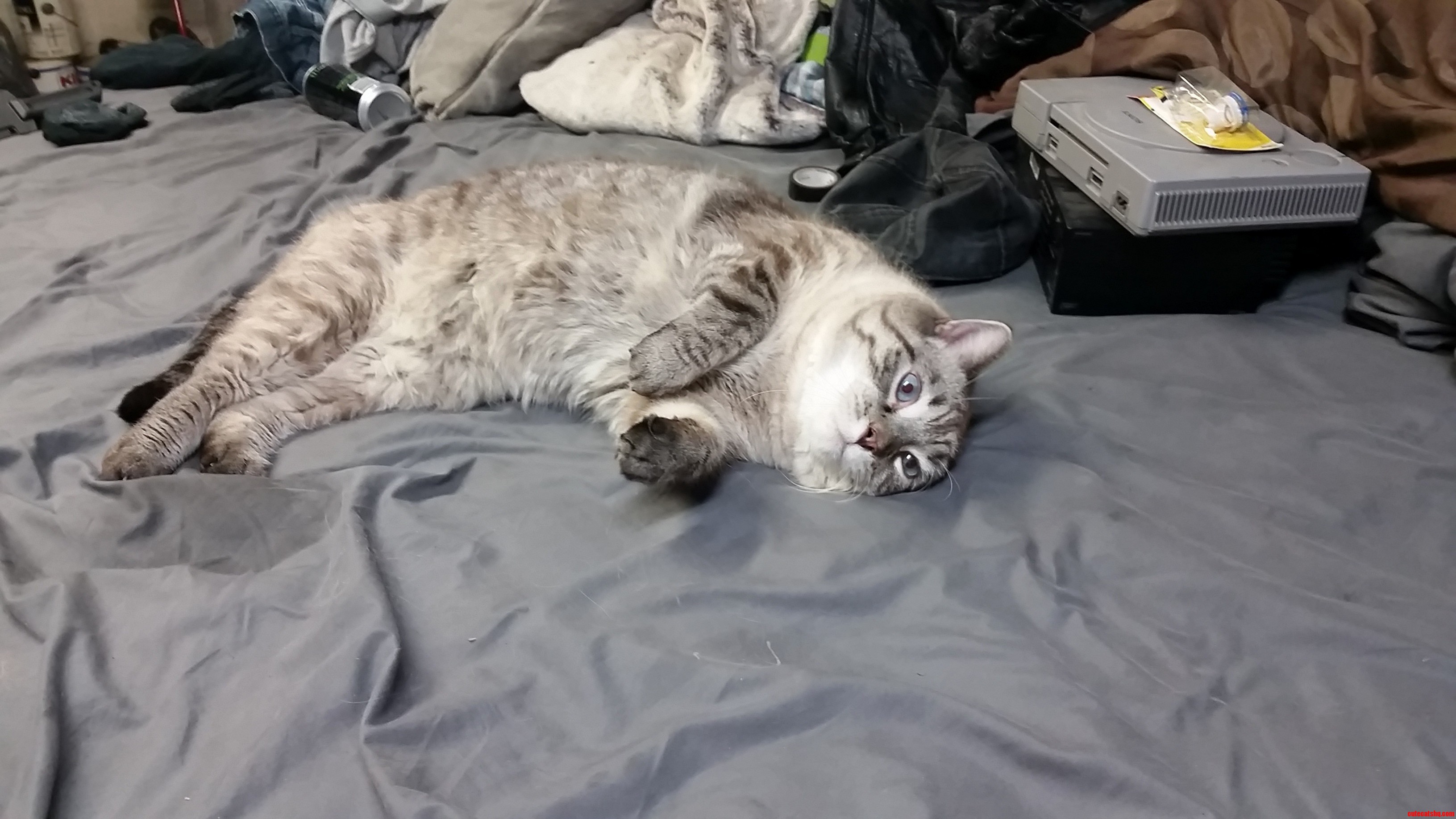 My Old Man Squirtle