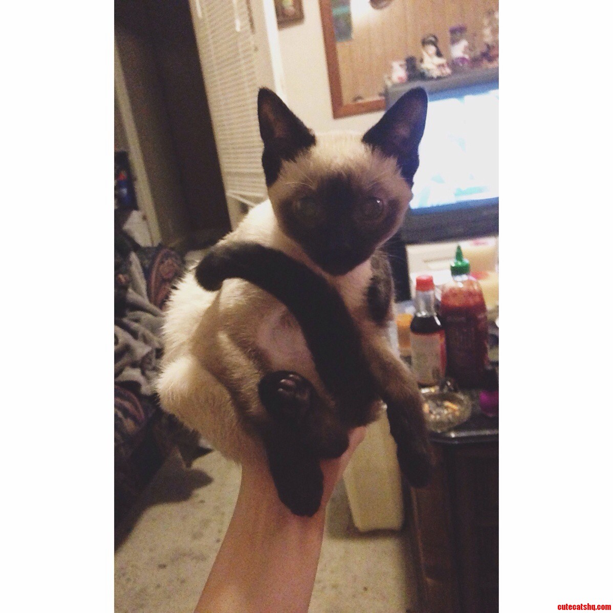 Pls Dont Grow Up