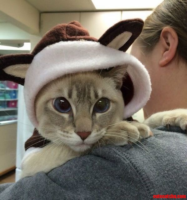 Ready for the Costume Party
