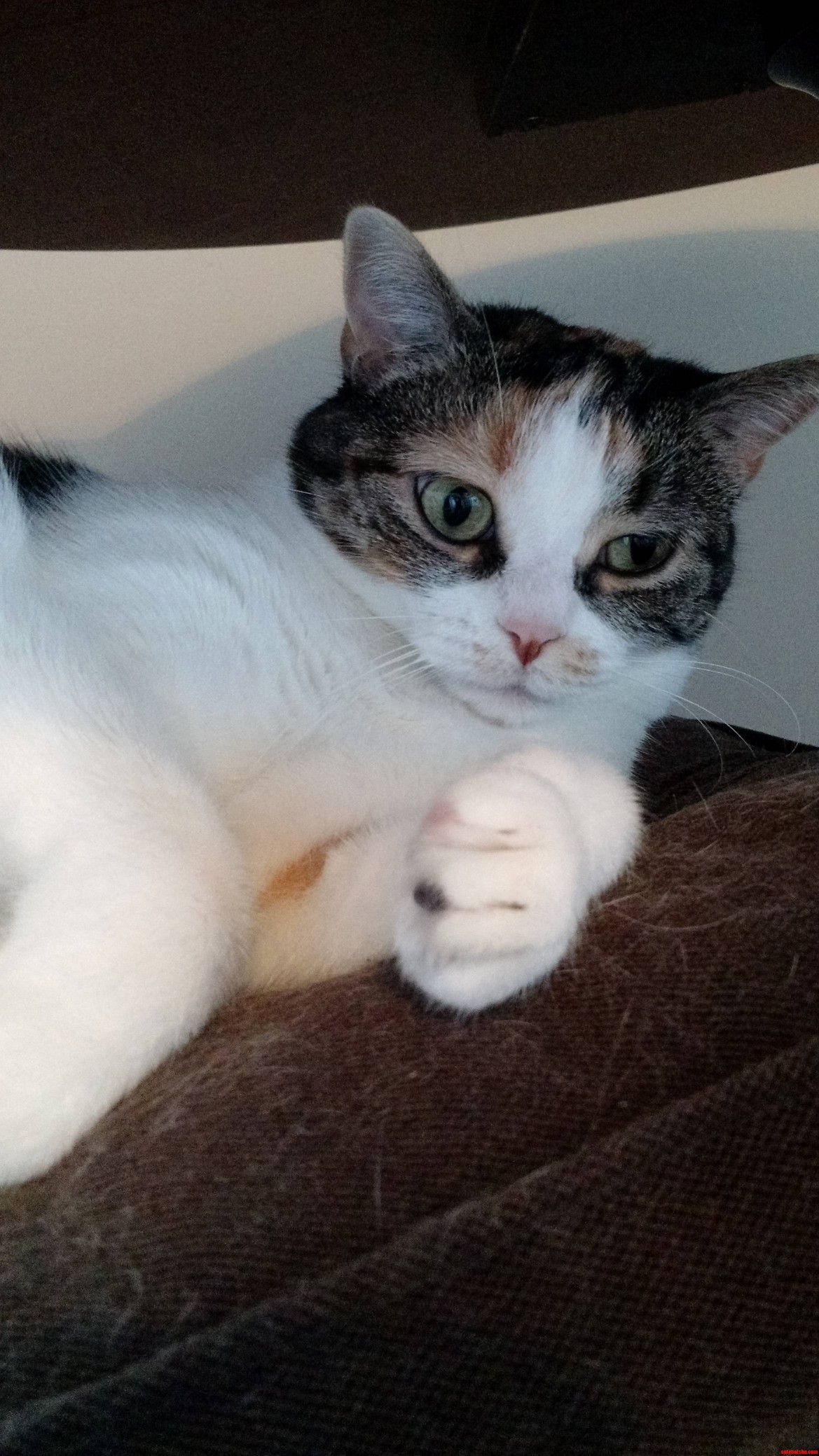 She Looks Very Concerned About Something