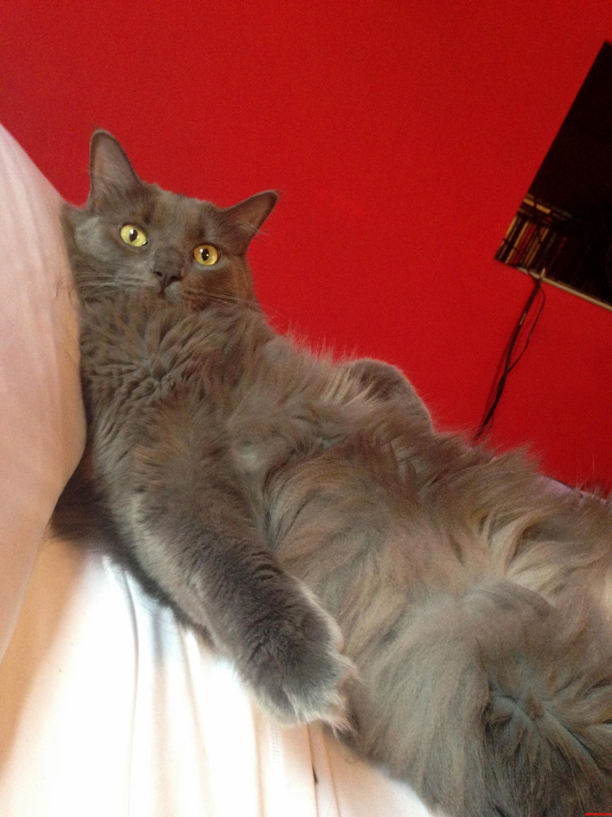 Sup.