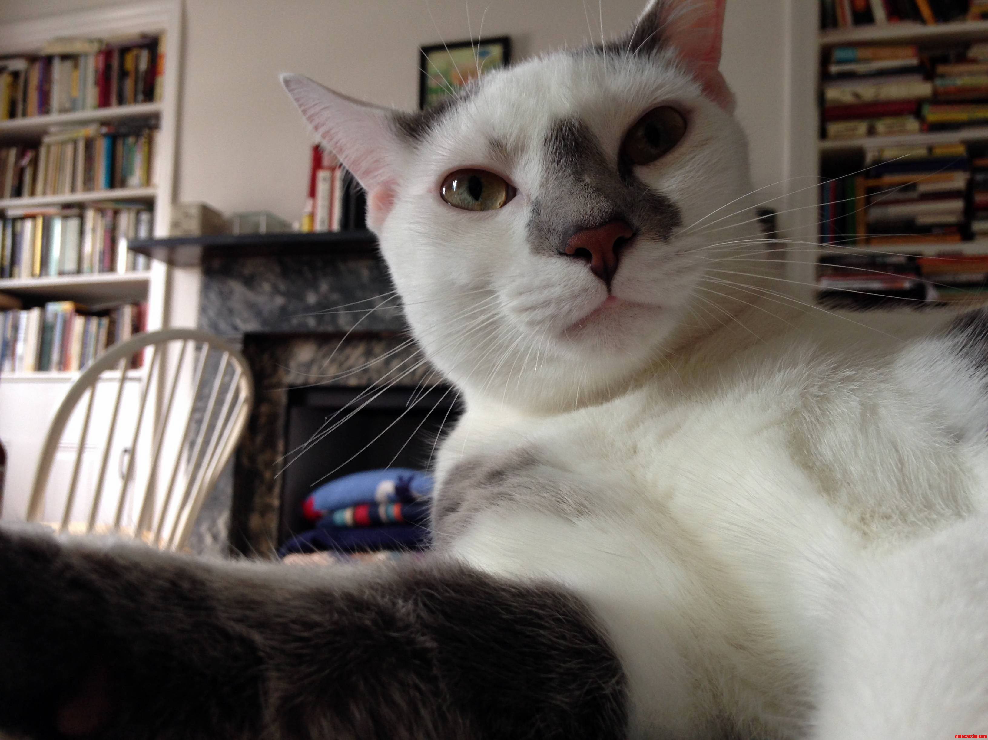 Terence Taking a Selfie