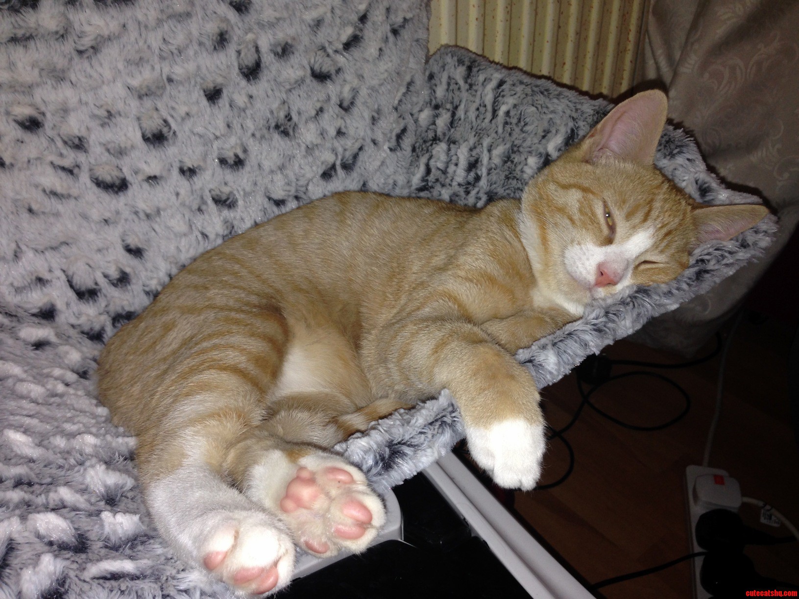 Think He Is in Half Sleep....