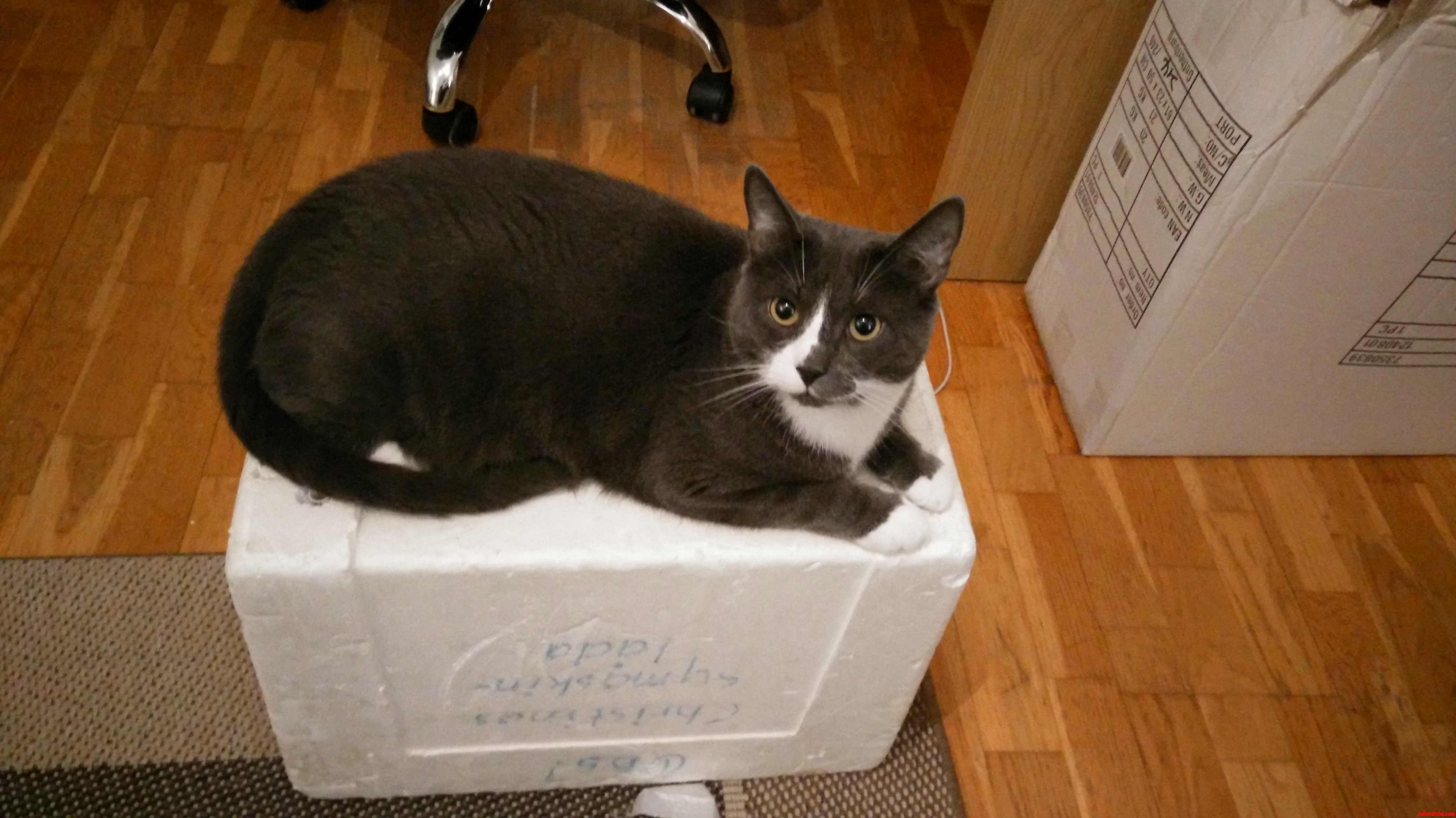 Think Outside the Box