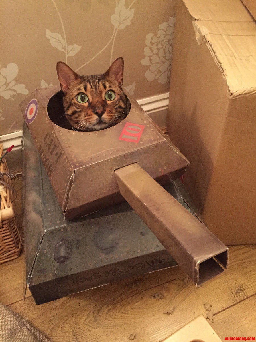 This Is Hector. He Drives a Tank.