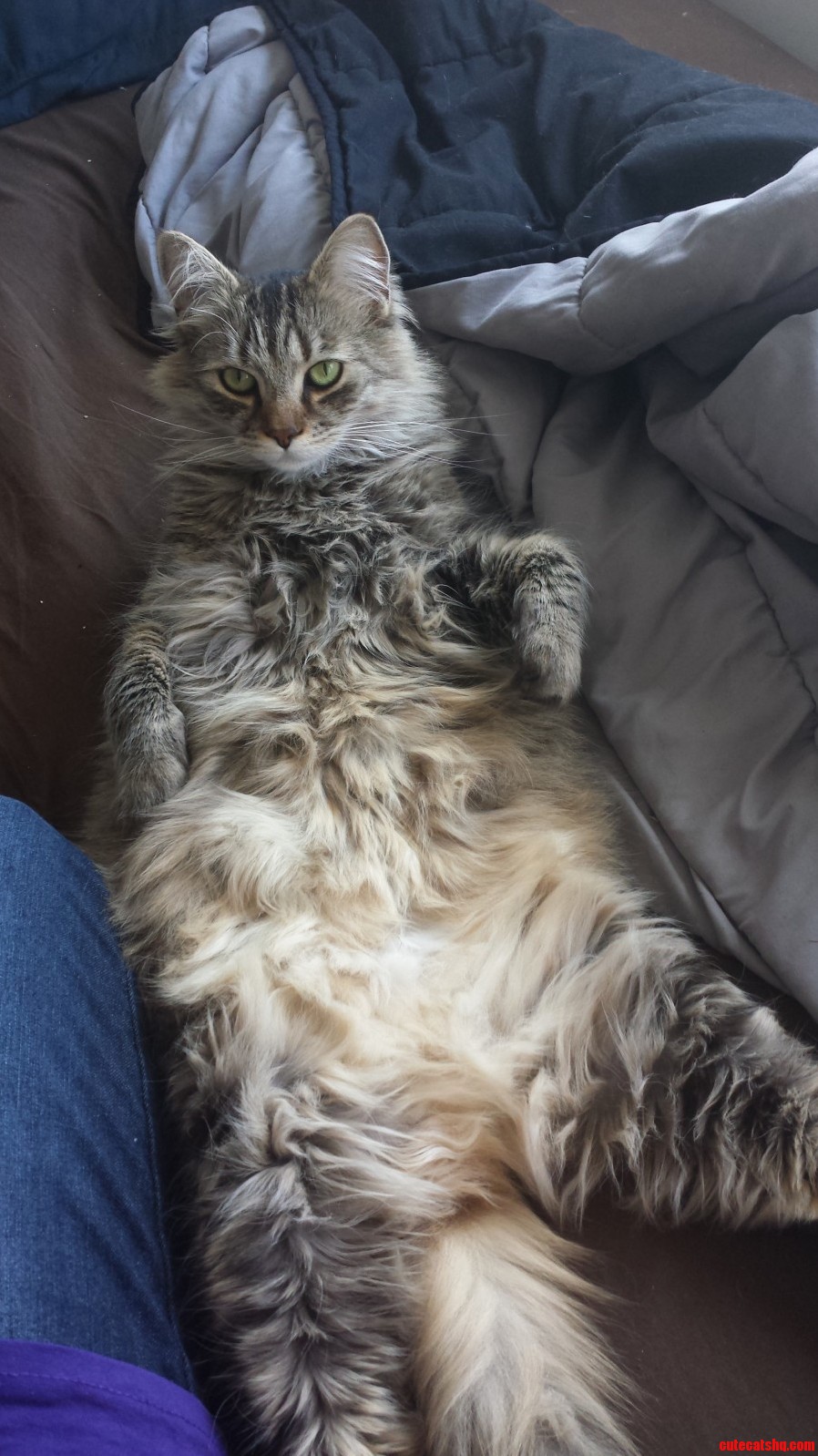 This Nerd Likes to Lay Like This 34 of the Time.