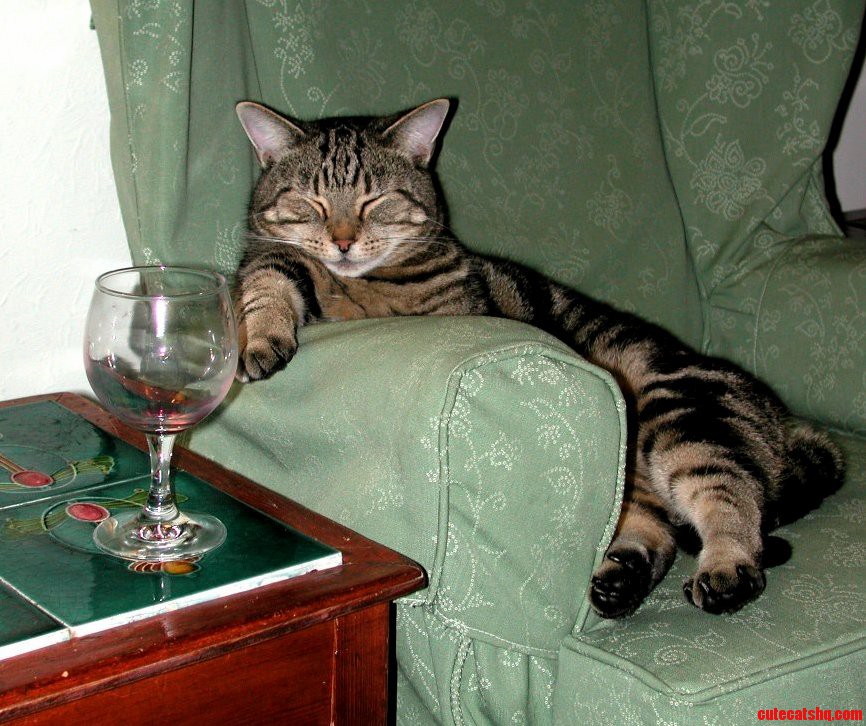 Tom Relaxing After a Hard Day Being Awesome