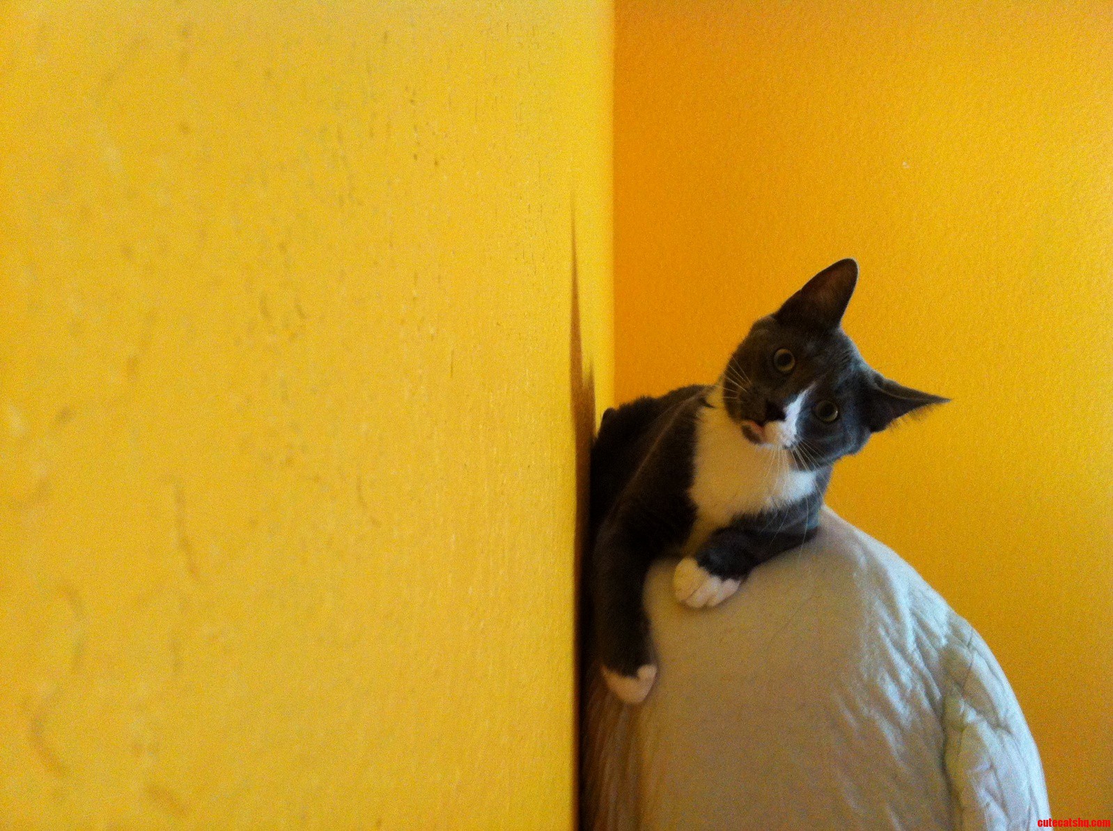 Tubbys Confused Face