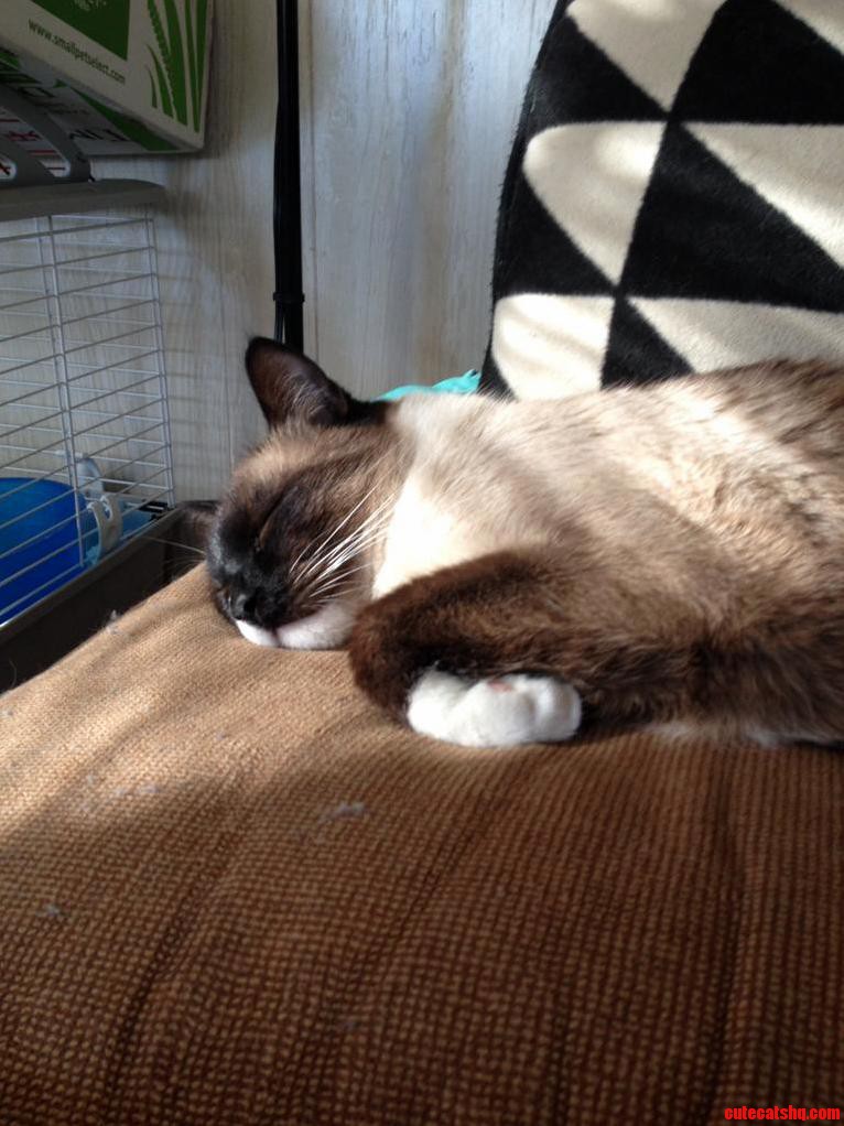 What a Life