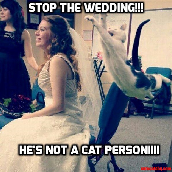 And Why Again Should They Not Be Married