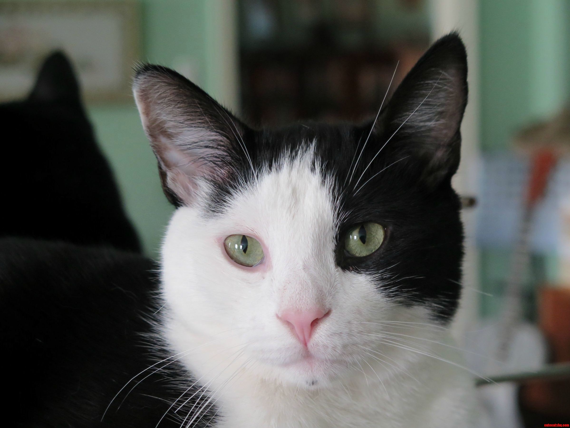 Archer Was Ready for His Close Up.