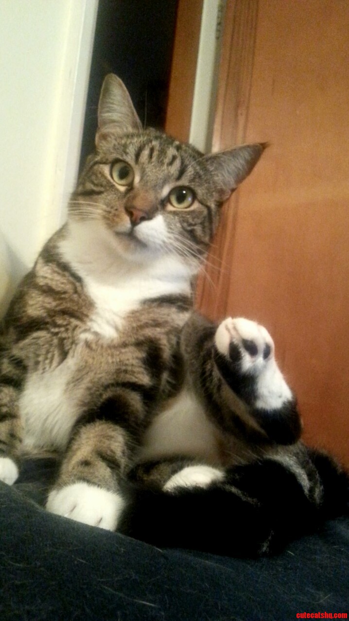 Bane Has Serious Problems with Forgetting Where His Foot Is