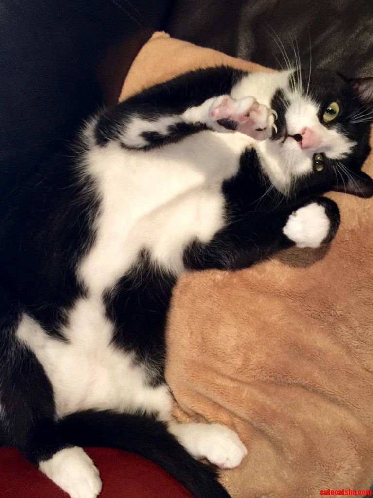 Be Scared of Me Human