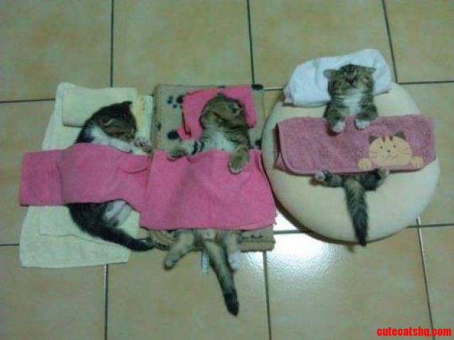 Bed Time