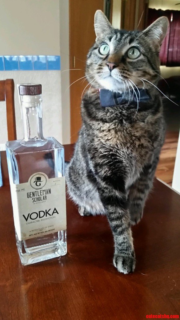 Bow Tie Bob Says Its Five O Clock Somewhere