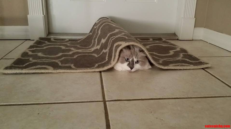Can Any One Tell Me a Better Place to Hide...