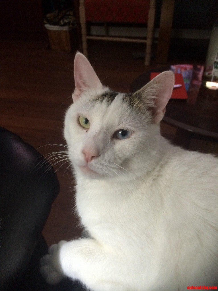 Cant Say No When He Looks at Me This Way