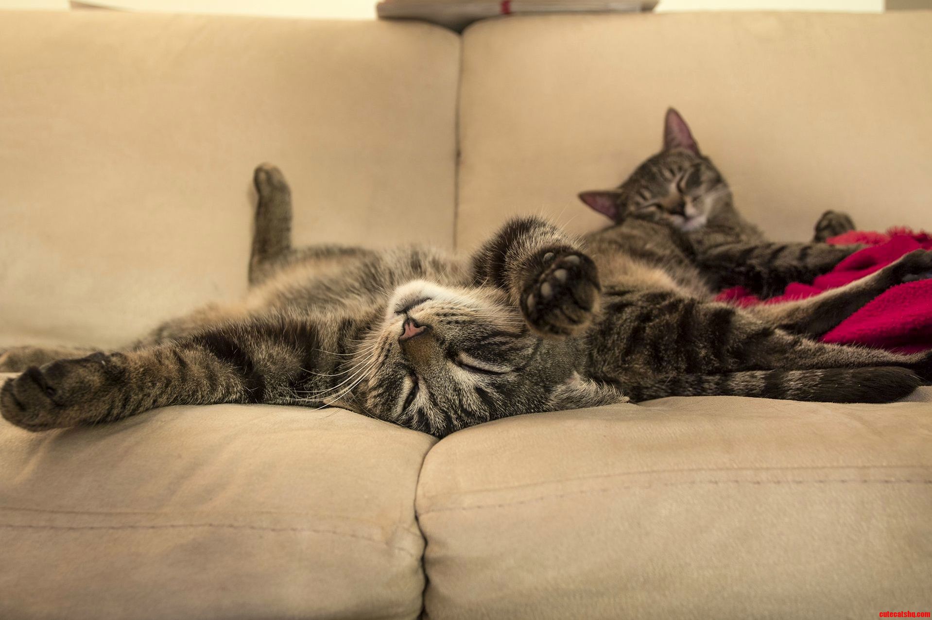 Chillin