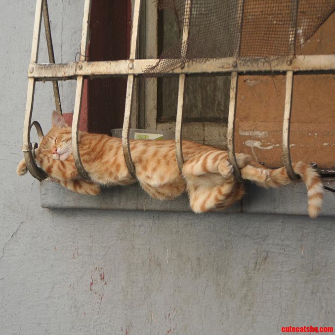 Comfortable in the Most Uncommon Places