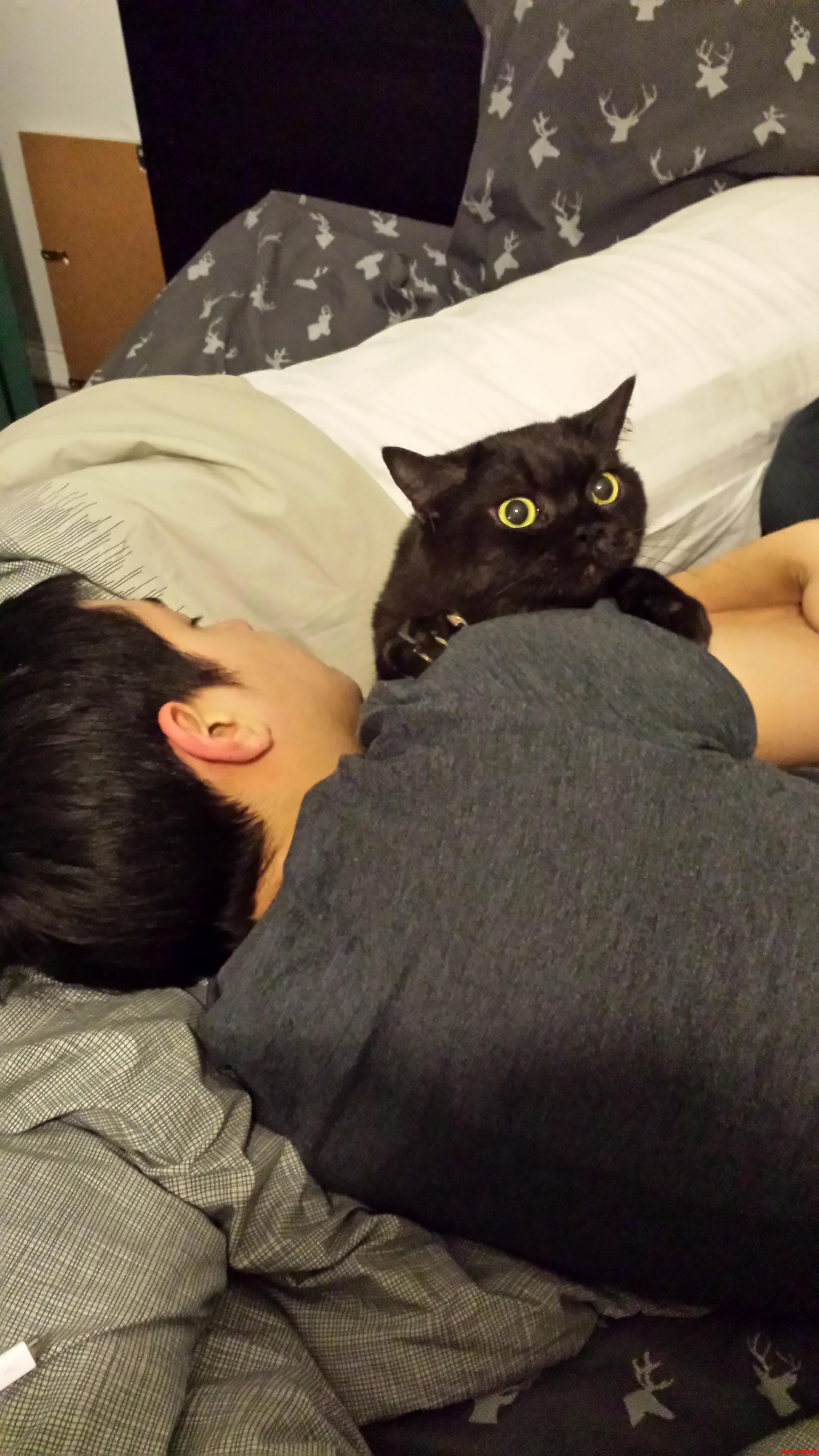 Cuddles Lol