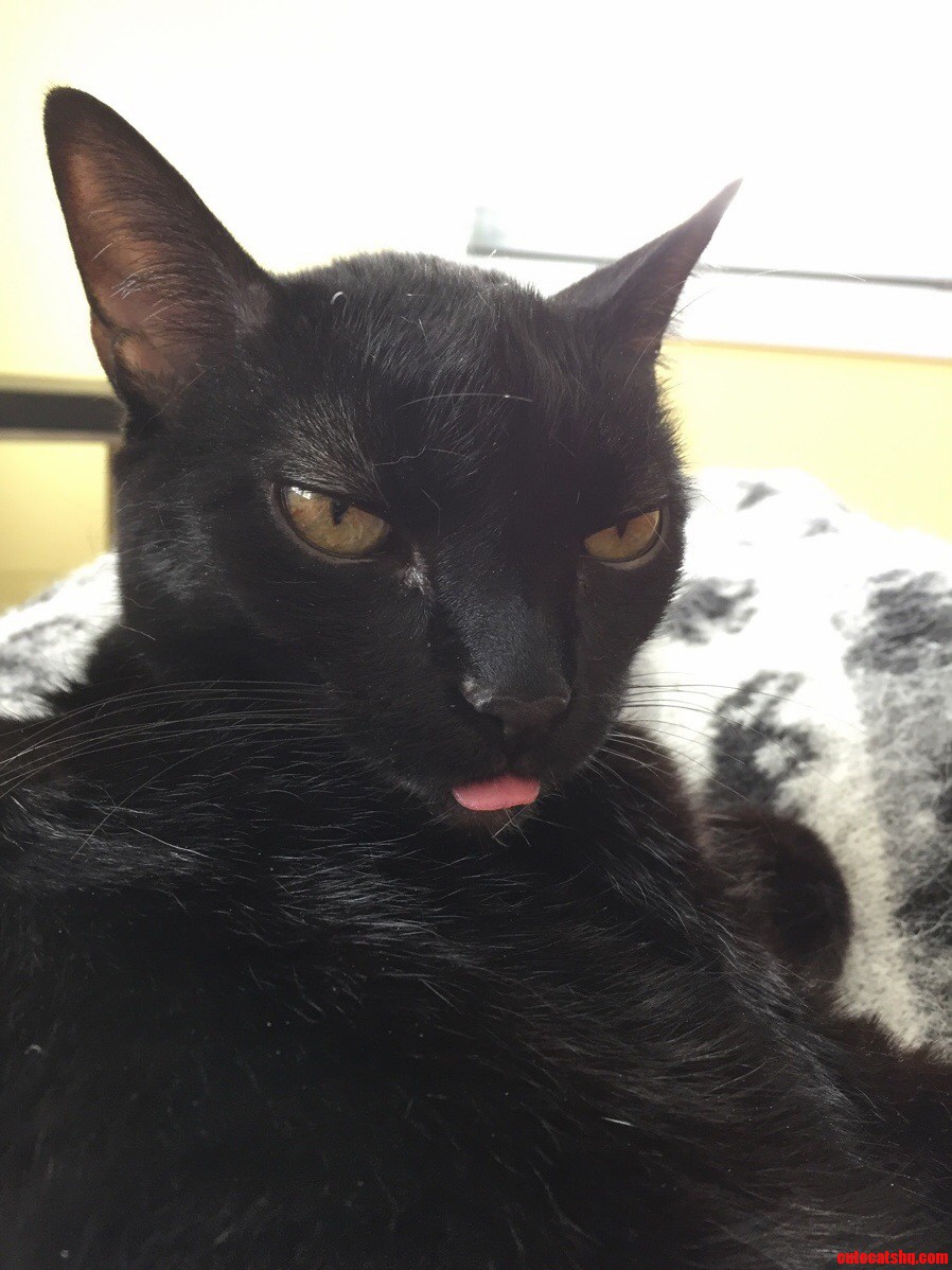 Derp
