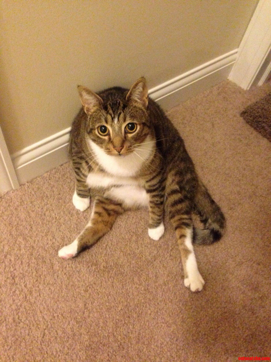 Does This Angle Make Me Look Fat