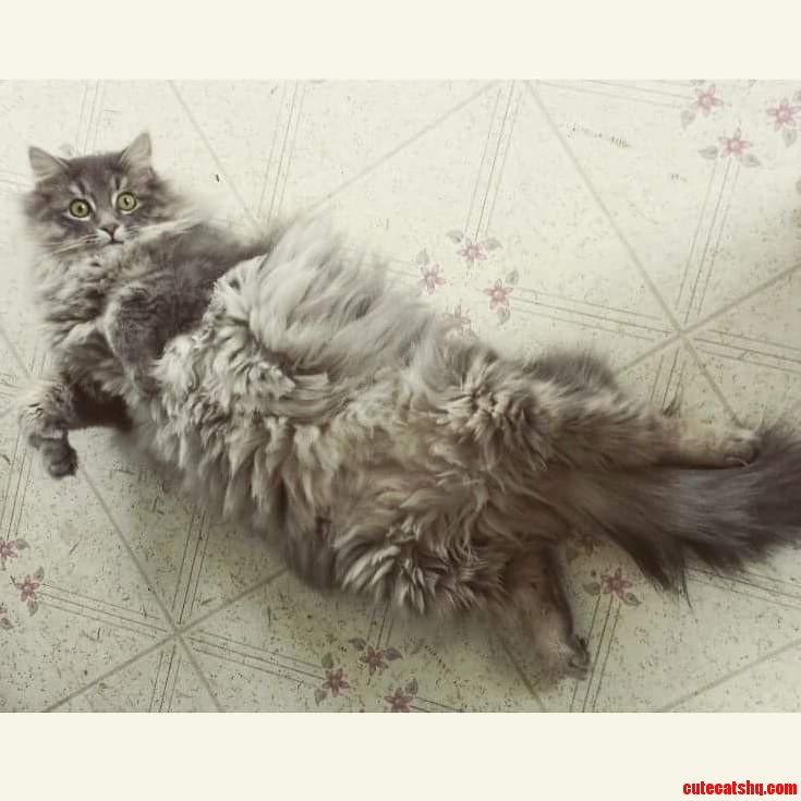 Draw Me Like One of Your French Girls Pls