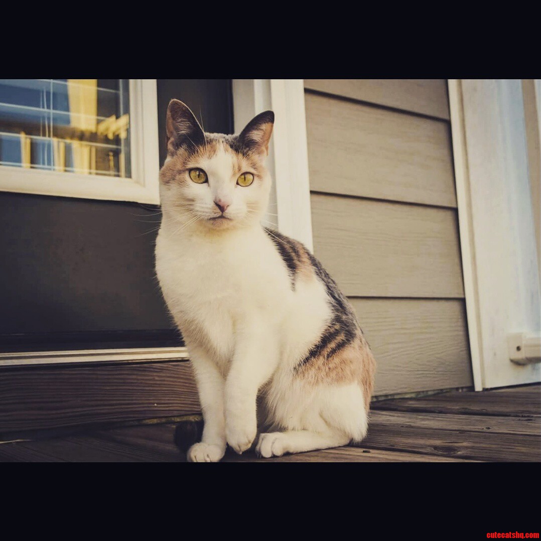 Exploring Outside for the First Time.