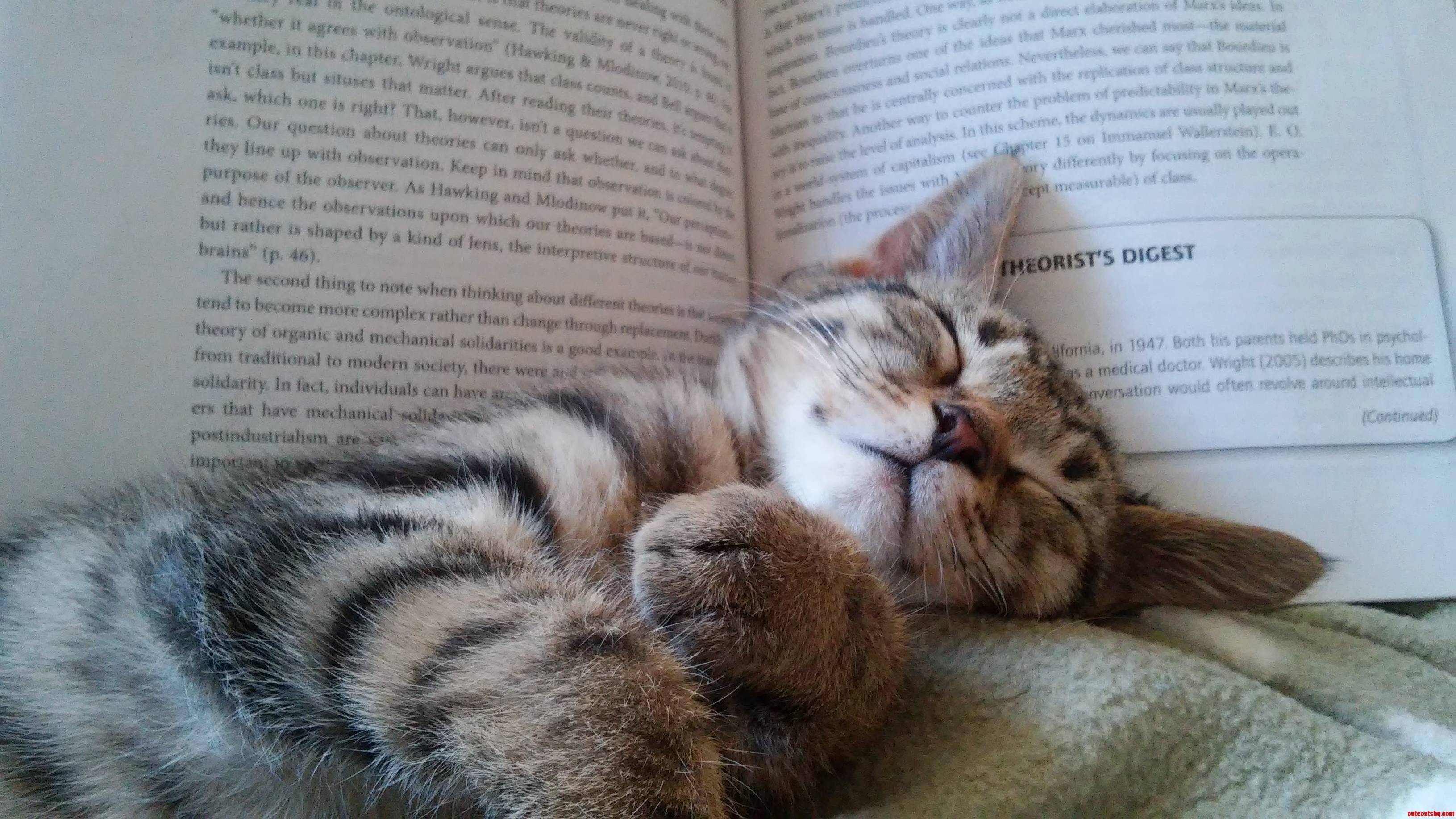 Felix Helping Me with My Homework.