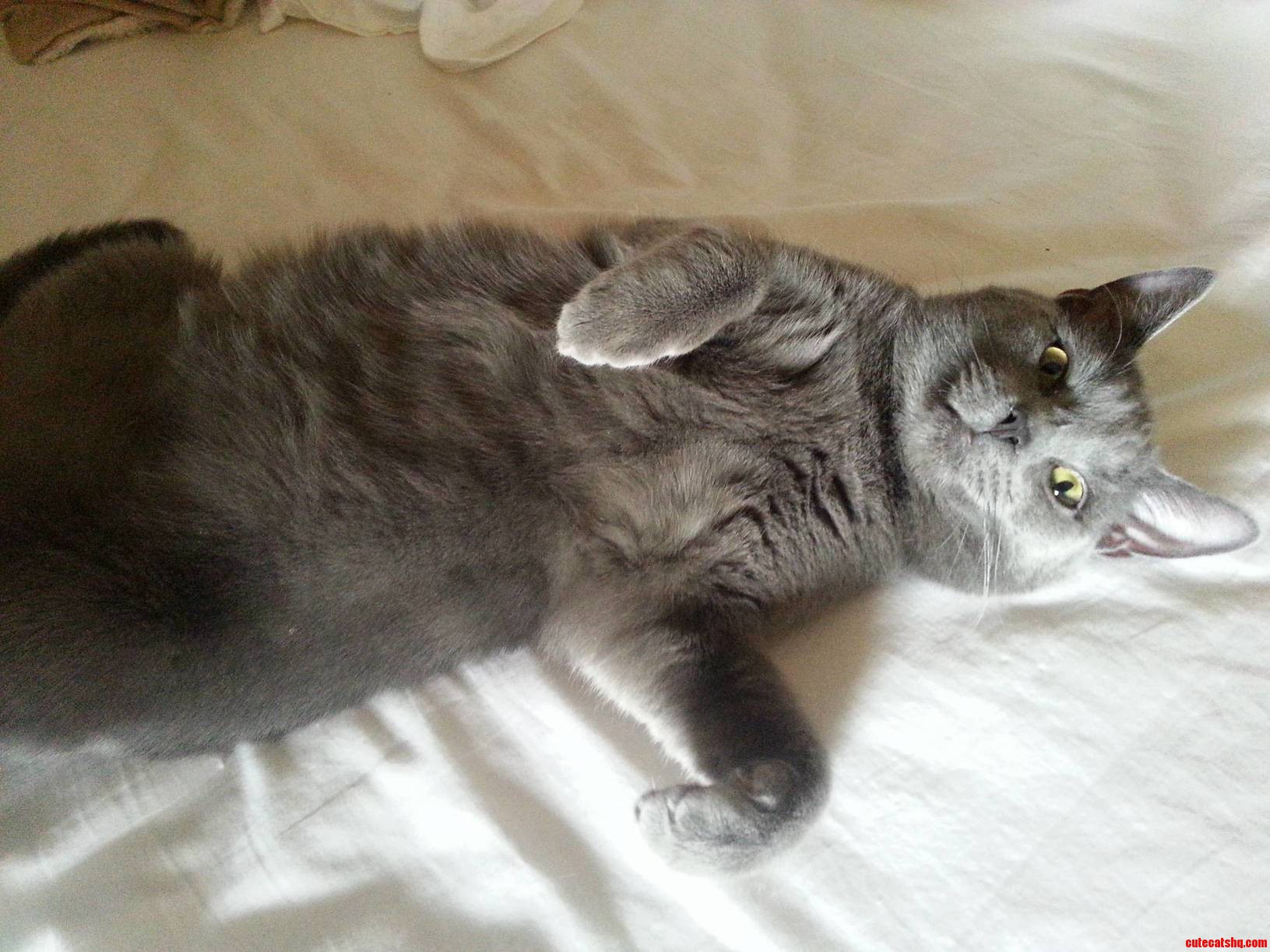 Finally I Have the Bed All to Myself.