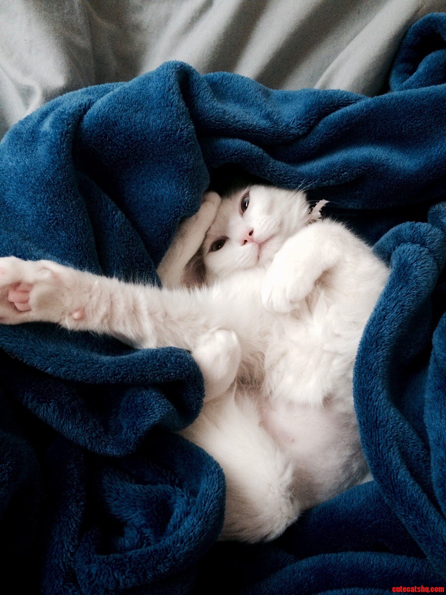 First Week Home and Sushi Cant Stop Showing Off Her Flexibility