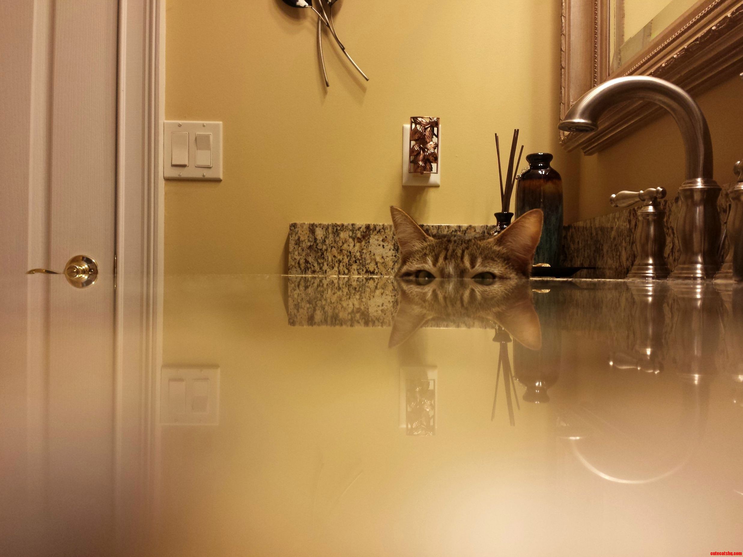 From the Depths of the Sink.
