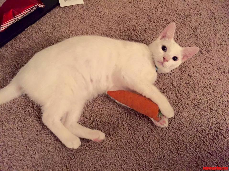 Happy 6 Months to My Baby Boy Draco