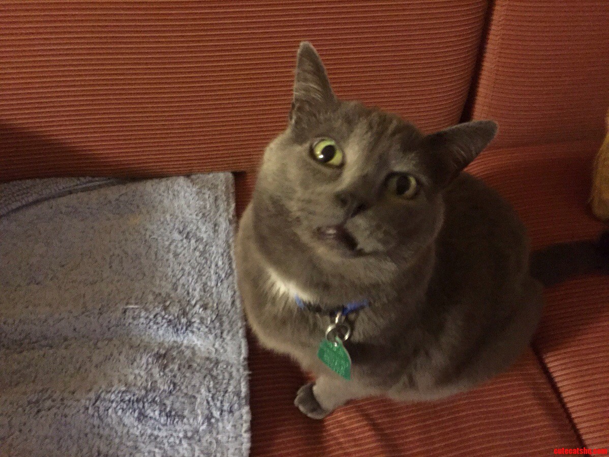 He Lost His Teeth.