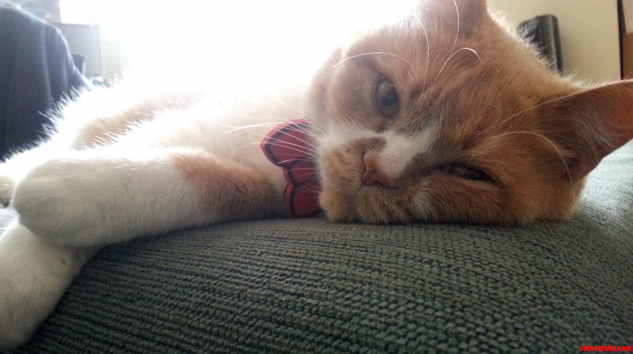 Heres Doctor Waking Up from a Nap