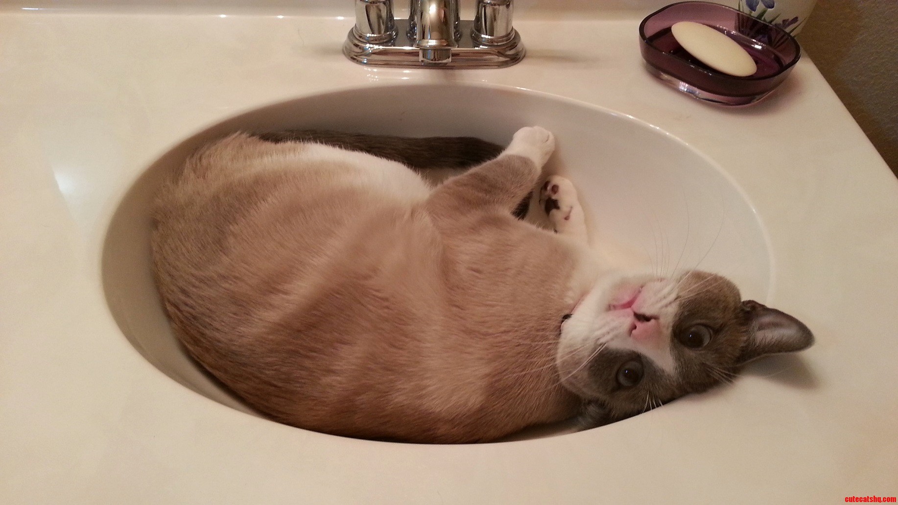 His Derp-face Cracks Me Up Every Time
