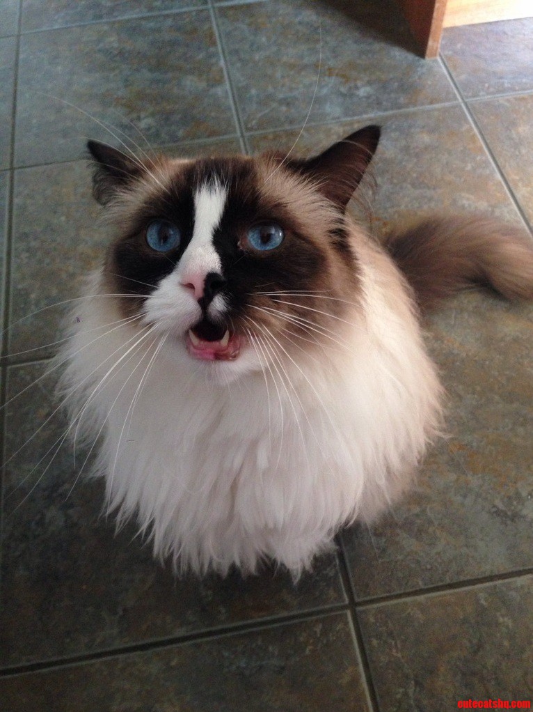 His Its Time for Dinner Face