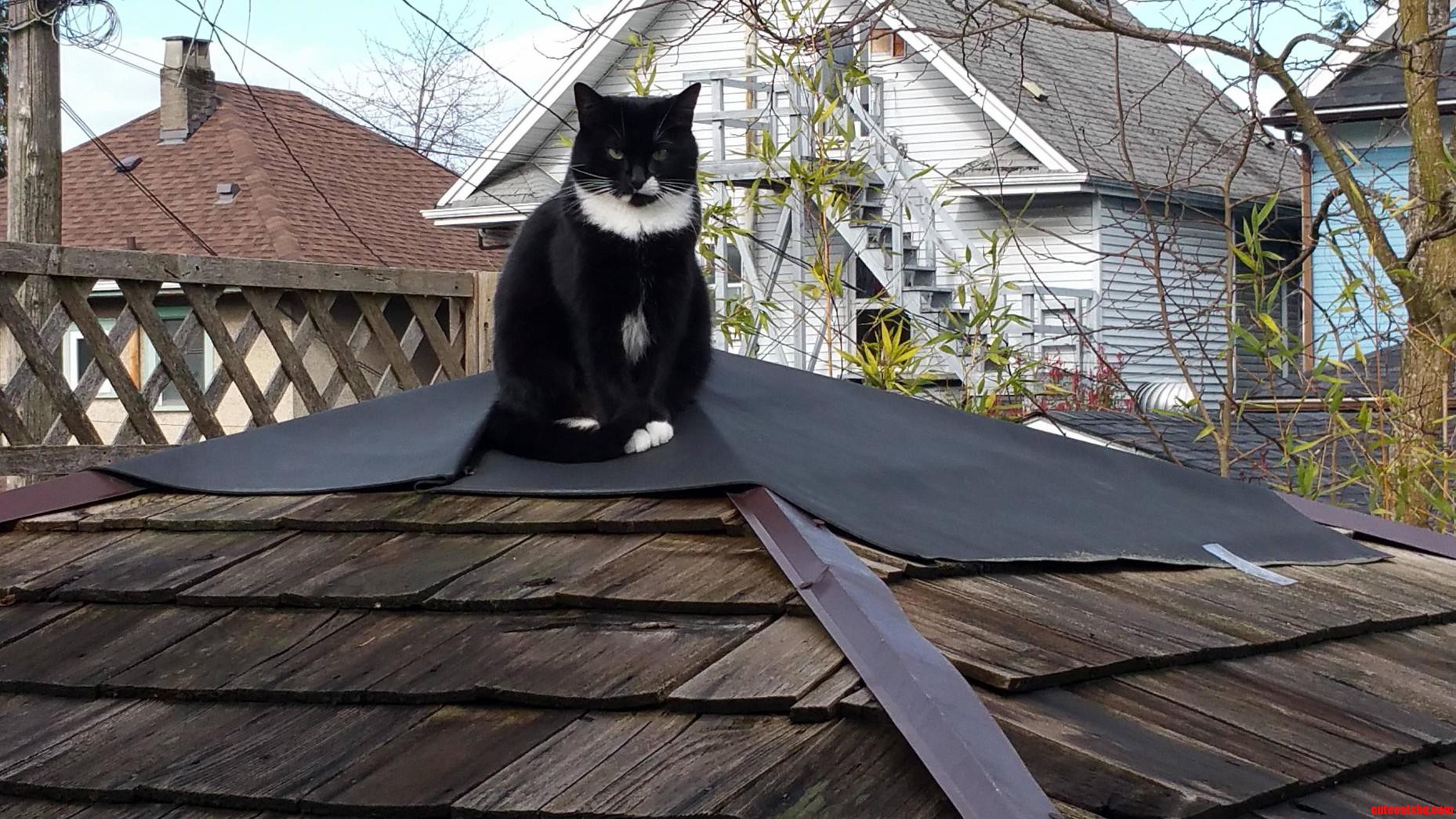I Always Feel Judged When I Leave the House
