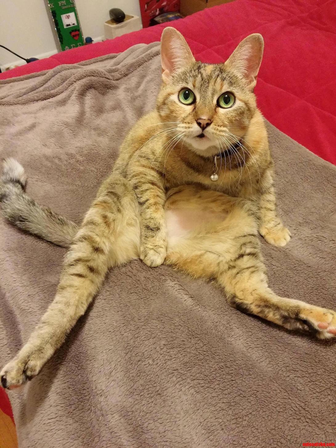 I Cant Believe Someone Decided to Get Rid of This Beautiful Derp