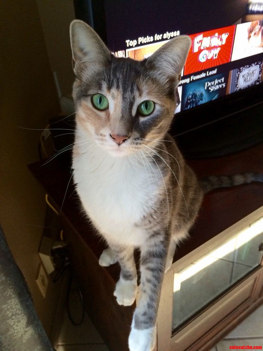 I Just Get Lost in Those Big Green Eyes