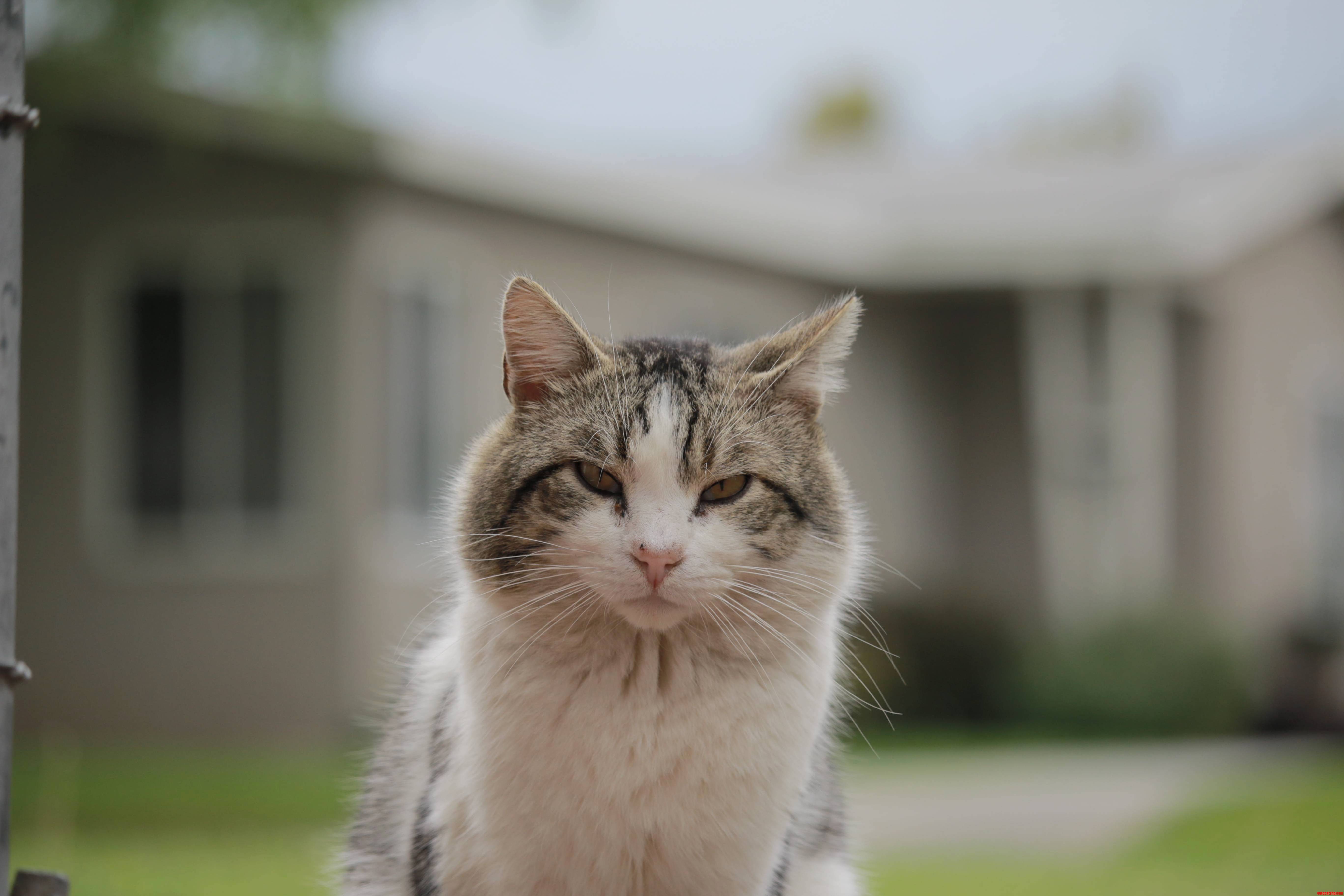 I Kept Taking Pics of Him with My Dslr. He Wasnt Amused.